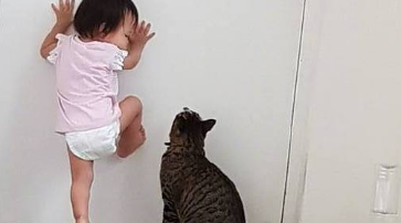 主人让猫咪陪孩子玩，再回来时忍不住跺脚喊道：你要带孩子去哪