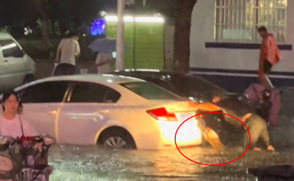 暴雨汽车被淹了，忠诚的狗狗也帮车主一起使劲推