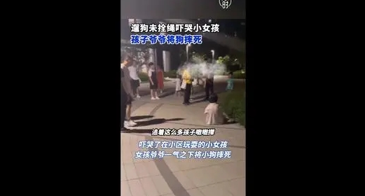 吓哭小孩后，宠物狗当场被摔死！最新通报→