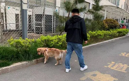 成都环卫工扫落叶被遛狗女子多次踢散，环卫工发声：我被打了一拳
