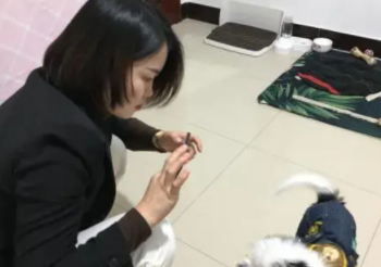 铲屎官给家里两只狗狗拍照，忙了一天，最后心累想哭