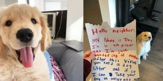 黄金猎犬意外吸引邻居爱慕，门缝塞纸条搭讪，内容融化万名网友！