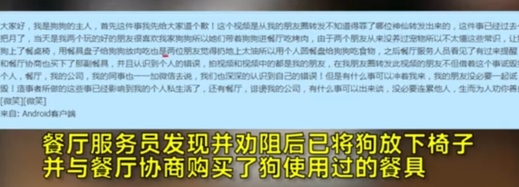 女子竟用公共餐具喂狗？网友人肉谩骂！带宠物就餐引争议！ 