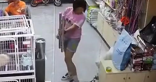 小女孩因为好奇，用玻璃门“杀”死一只小猫