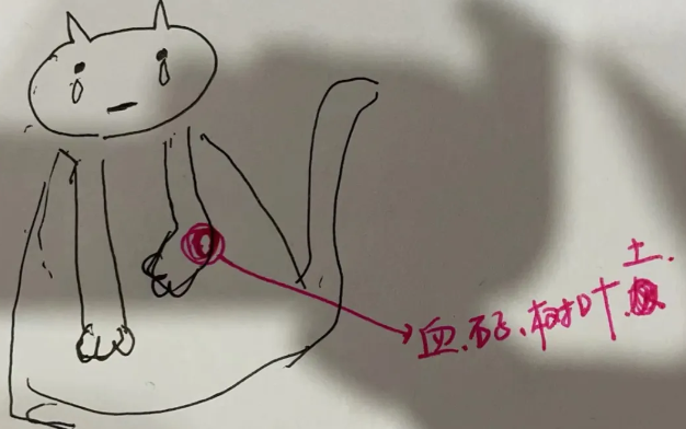 橘猫跛着腿，小心翼翼的讨要食物，好不容易获救，腿却无法痊愈了...