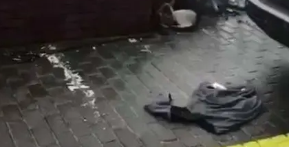 大雪天路边有只冻得发抖的狗狗，给狗粮也不吃，因为它在等主人！