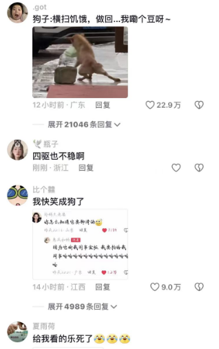 狗腿子突然一滑，网友热议“稳如老狗”