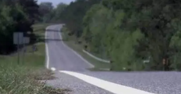 牧羊犬站公路一直对路人犬吠，路人跟上一看热泪盈眶
