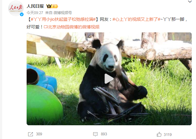 熊猫丫丫用小jio扶起篮子松弛感拉满