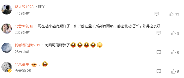 丫丫吃饱就睡美容觉，这小日子也太幸福了