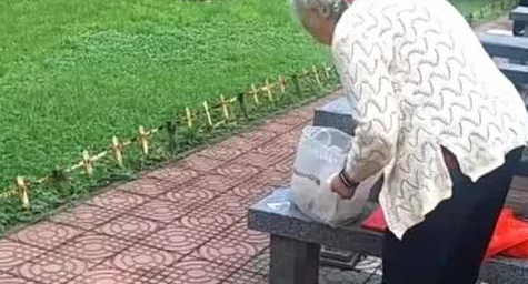 八十多岁老奶奶，每天遛弯喂养流浪猫，坚持六年却被说成没爱心？