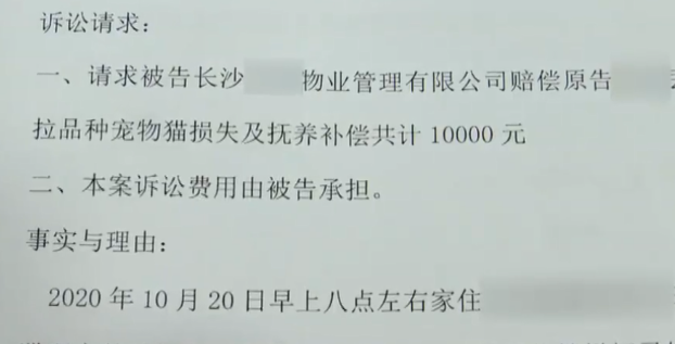 湖南：宠物猫跑出自家里，物业当成流浪猫赶走，业主提出1万赔偿