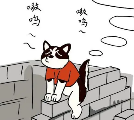 男子买了只哈士奇，朋友看到照片直言赚到了：一看就是皇家血统