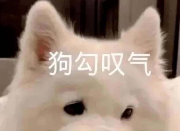 军犬的拒食考试有多离谱？狗子在前面跑，鸡腿后面追哈哈！
