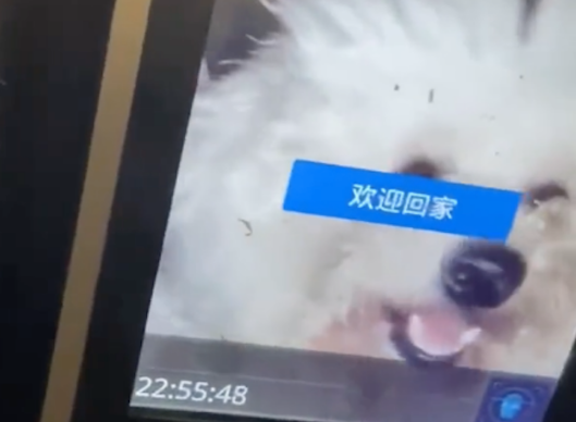 女孩刷脸打不开小区门禁，抱着狗狗时它竟扫开了，它才是业主啊