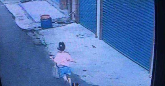 12岁女孩被土狗狂吠追90米，活活被吓死，狗主人赔180万