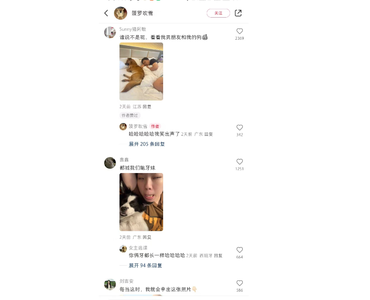 果然小狗都是主人亲生的？哈哈哈哈