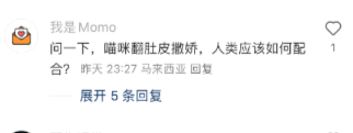 我家猫因为太爱撒娇撒进了医院