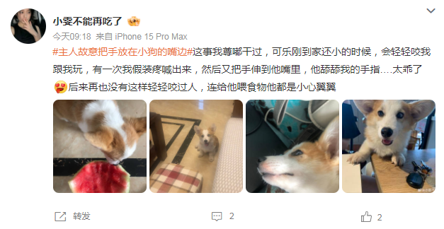 主人故意把手放在小狗的嘴边