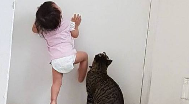 主人让猫咪陪孩子玩，再回来时忍不住跺脚喊道：你要带孩子去哪