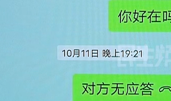女子家的金毛被别人以配种之名抱走，通过车牌号找到线索