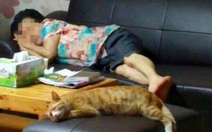 奶奶不疼孙子疼橘猫，看完这个睡姿后，总算是知道为啥了