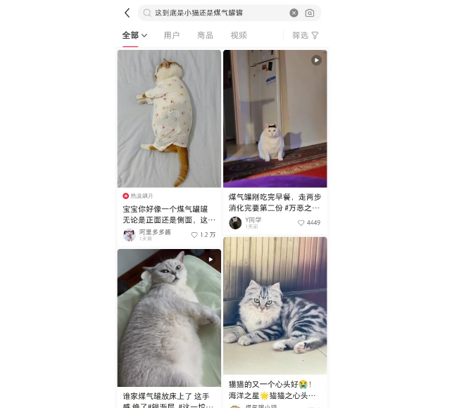搞笑？这到底是小猫还是煤气罐罐