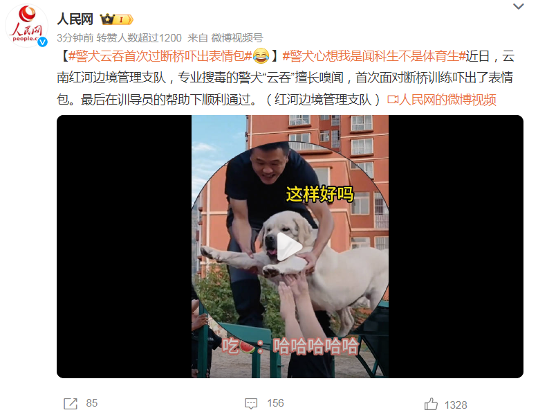 警犬心想我是闻科生不是体育生，这一幕笑喷了