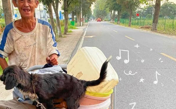 老人陆续收养7只流浪狗，带着汪们一起工作：垃圾车成了撸狗车