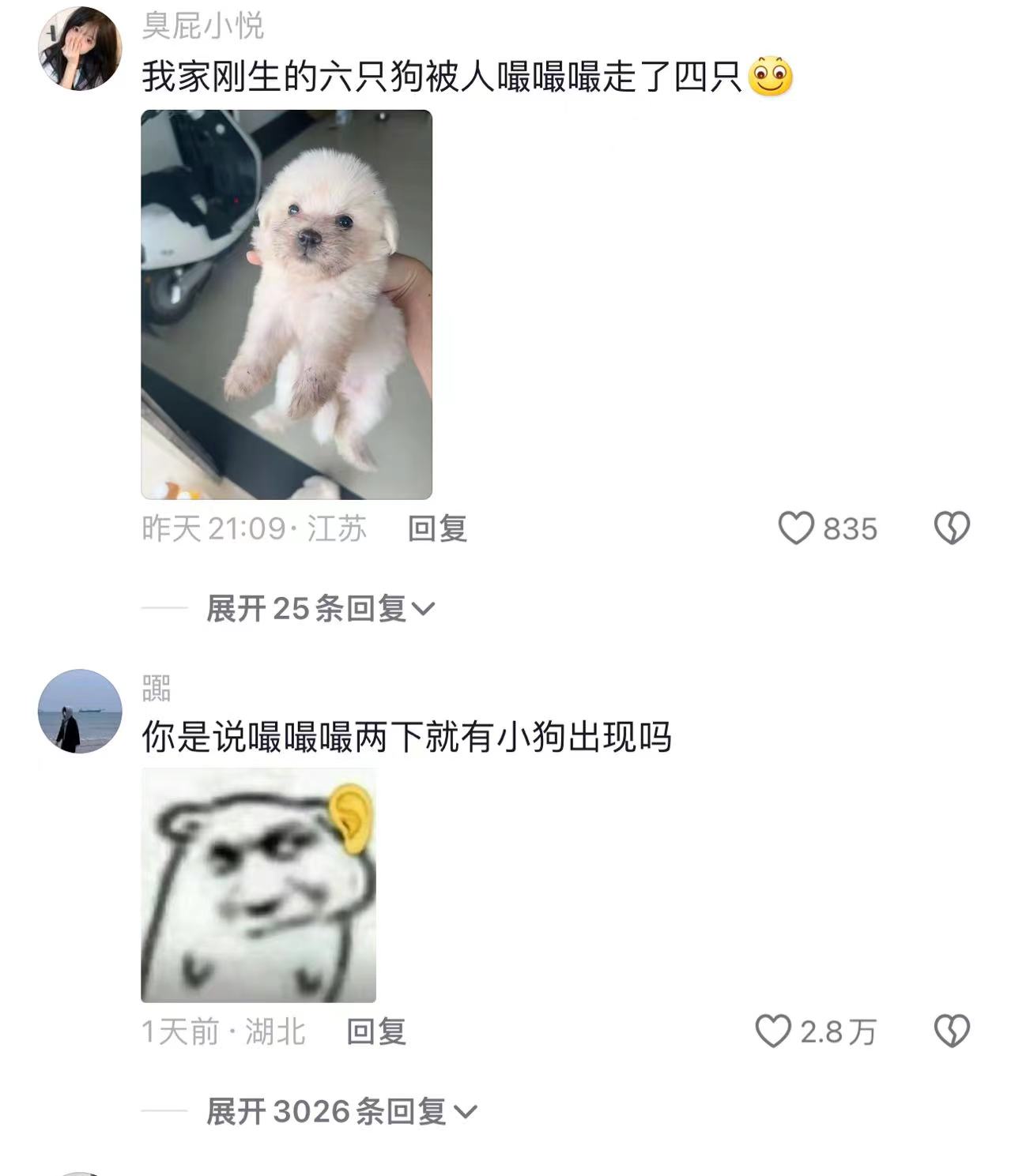 任何小狗都不能拒绝嘬嘬嘬，不信你们试试
