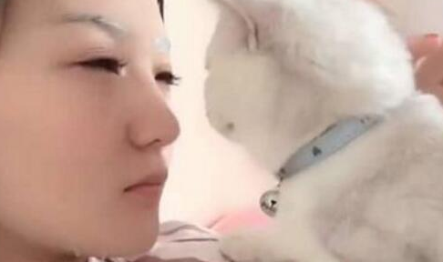 主人敷面膜猫主子狂蹭，猫咪：本喵也是需要保养的