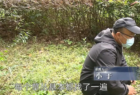 流浪狗“偷”快递叼走名表，快递小哥可以让喂狗人赔偿吗？