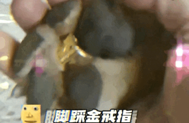 狗子一瘸一拐回来，主人以为它又打架，结果…