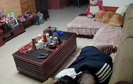 金毛看见主人搓脚后，立马走来用它的肚子帮主人捂，太让人感动了