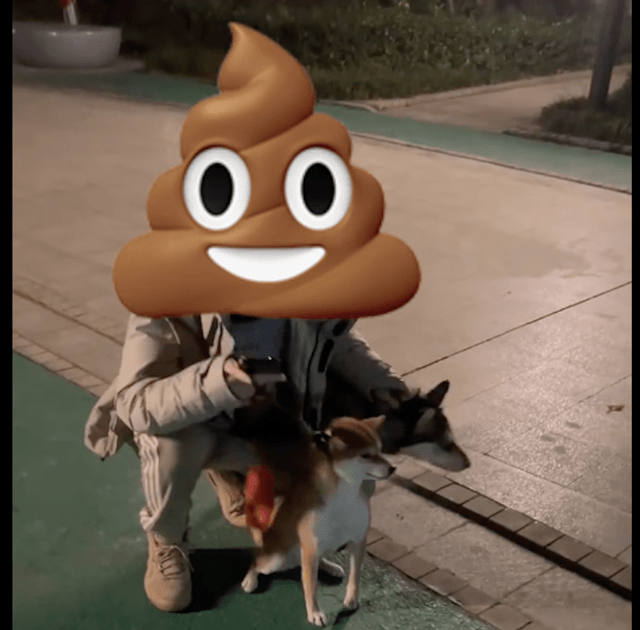 男子不牵绳遛狗，结果狗狗咬了狗后他拒不道歉，还抢别人家的狗！ 