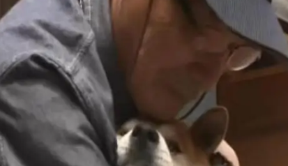 爷爷被迫与柴犬分离1年，再重逢时狗狗做出的反应，令人泪如泉涌