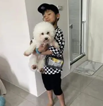 小主人写作业爆料狗狗的秘密，网友看后笑了：太有才华了！