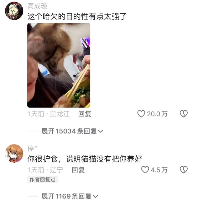 这是一只心机猫，小猫为了吃上一口，也太会了