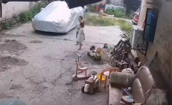 广西一女孩被狗子扑咬，撕心裂肺大喊求助，附近仨大人行为被议论