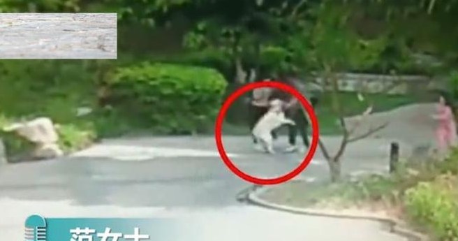 拉布拉多猛扑6旬老人，狗主人直接离开，以为老人也喜欢狗