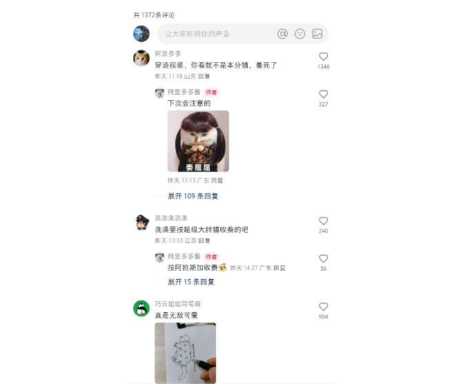 搞笑？这到底是小猫还是煤气罐罐