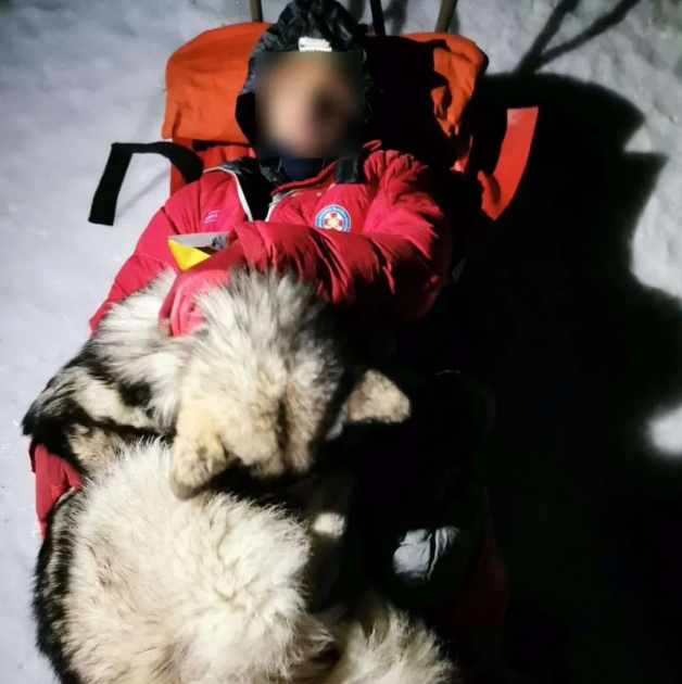 主人雪山遇险，阿拉斯加用体温护了他13个小时...