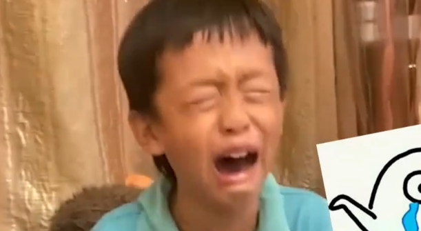 云南一男孩刚养的仓鼠被狗咬死，当场崩溃大哭，一个细节让人心疼