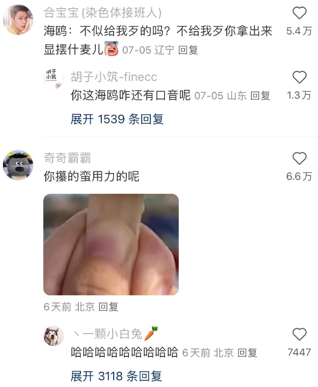 大连的海鸥没有一点边界感