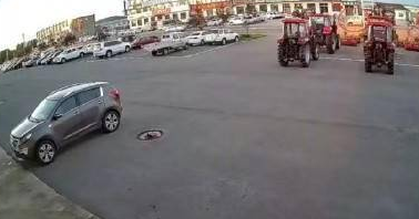 狗未拴绳被撞死索赔万元遭驳回，法院：驾驶员无过错 