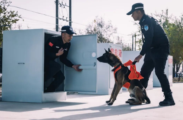 英吉沙公安吹响警犬冬训“集结号”