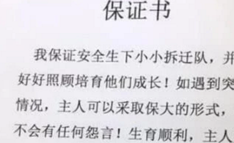 哈士奇生娃前被女主人“强迫”签下保证书，看到内容后令人捧腹！