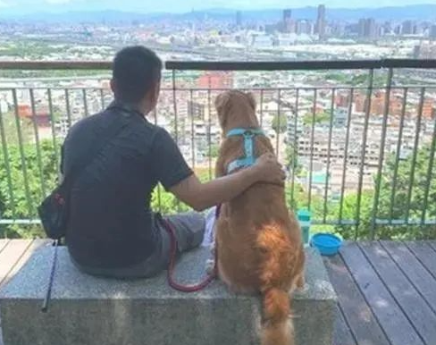 老公与黄金猎犬一起甜蜜赏风景，一个举动让她超心寒！
