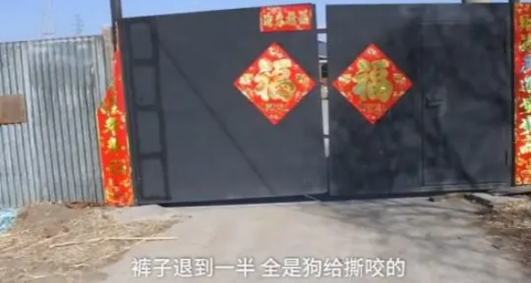 7旬老人遛弯时被4条狗围咬致死，狗主人将狗杀死...