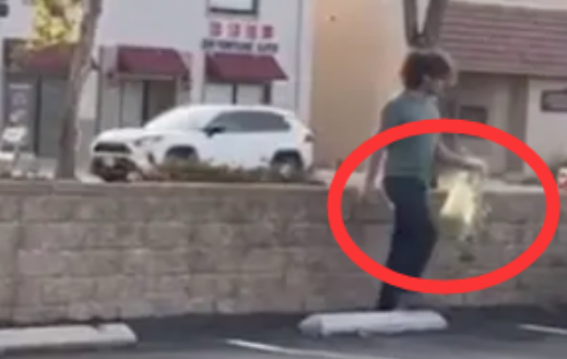 天普市有人撒网捕杀鹦鹉，令居民不安